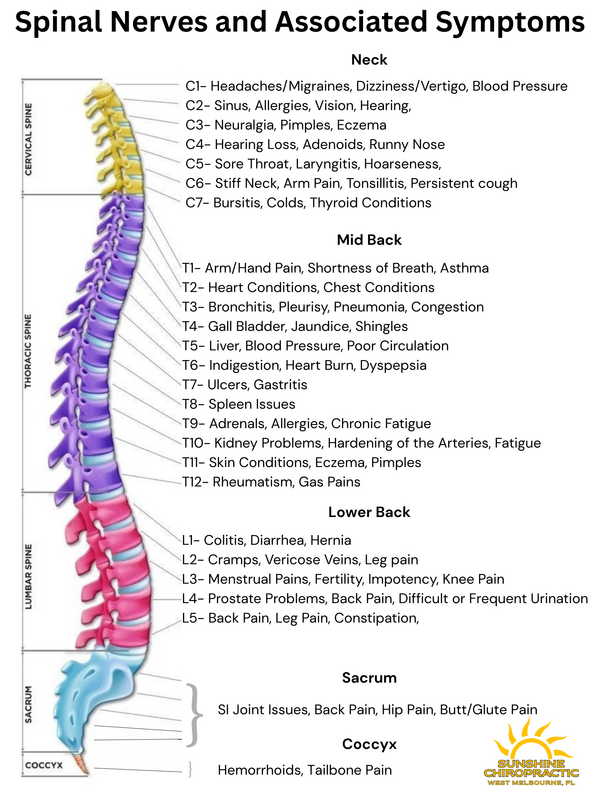 Chiropractor performing a gentle spinal adjustment